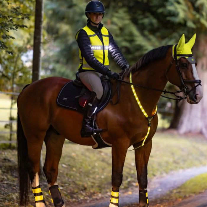 Person riding a horse wearing reflective gear in a forest setting