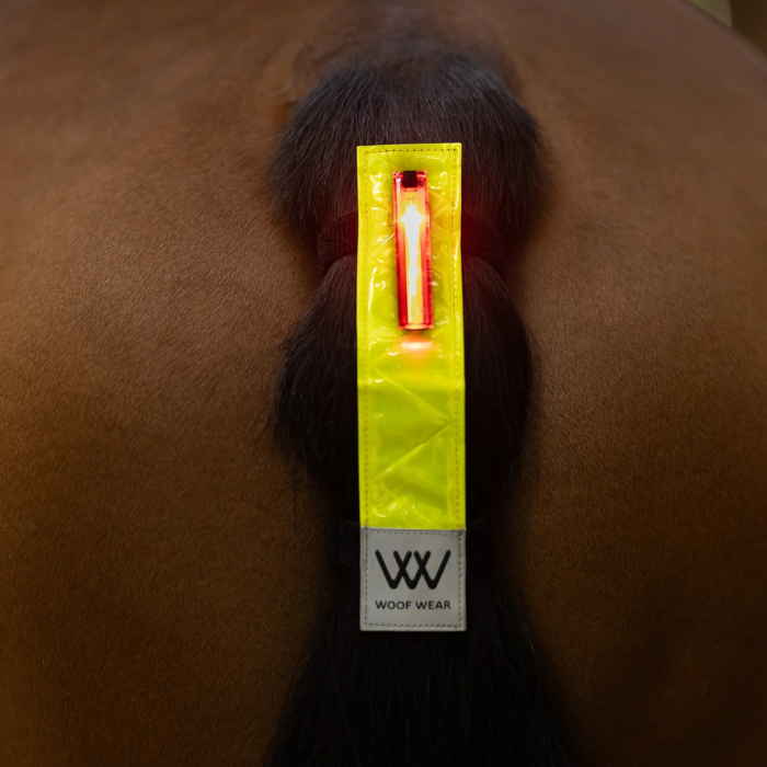 Woof Wear Rechargable Hi Vis LED Tail Light-Hi Viz Accessories-Eland Lodge