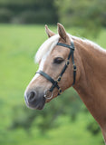 Shires GARA Plain Inhand Bridle