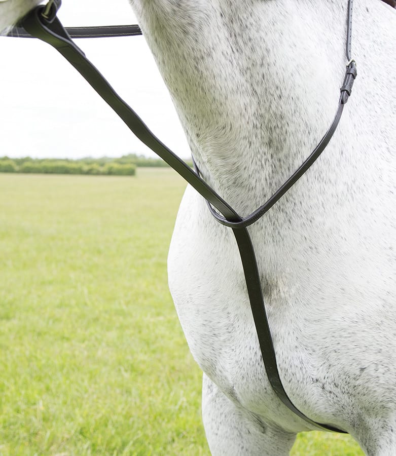 Shires GARA Standing Martingale