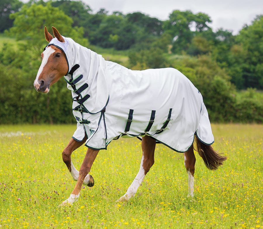 Shires Highlander Plus Sweet-Itch Combo Rug