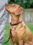 Shires Digby & Fox Drover Polo Dog Collar