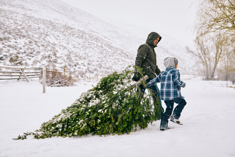 Ariat Mens Argentium Parka