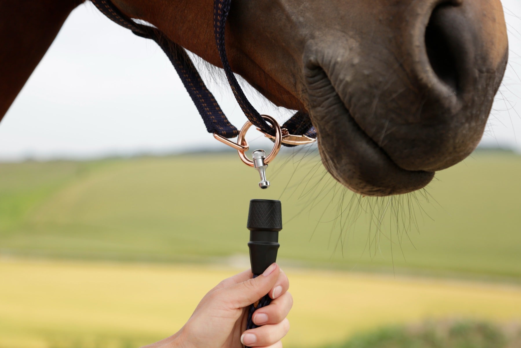 Covalliero GoLeyGo System Lead Rope