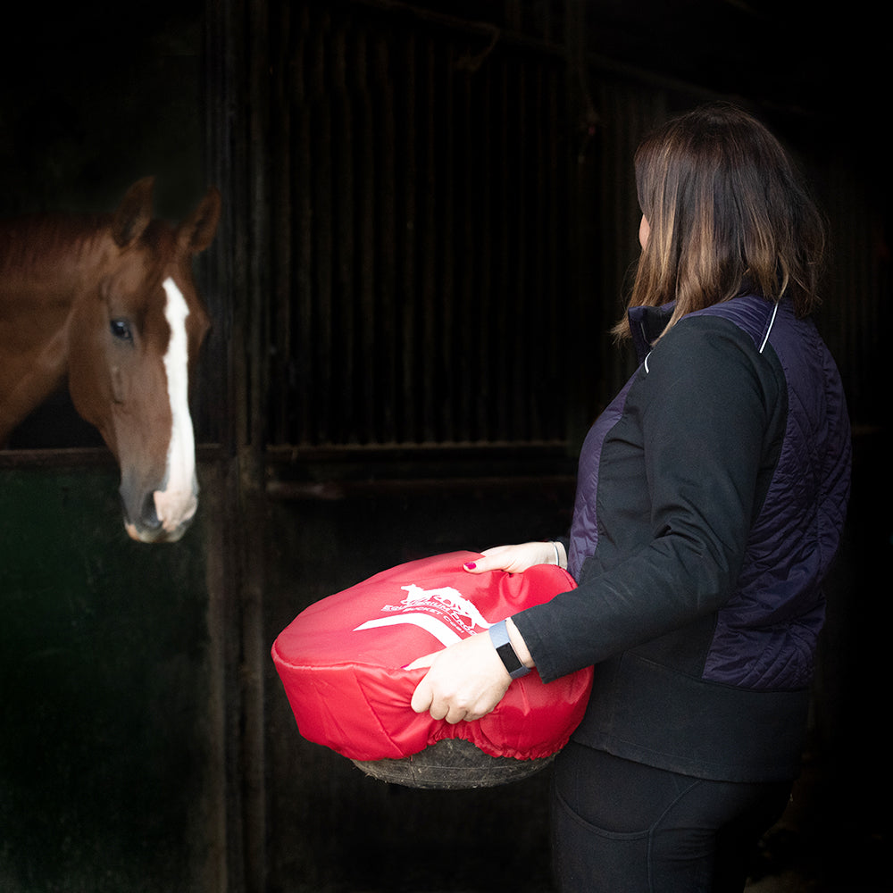 Equilibrium Bucket Cosi