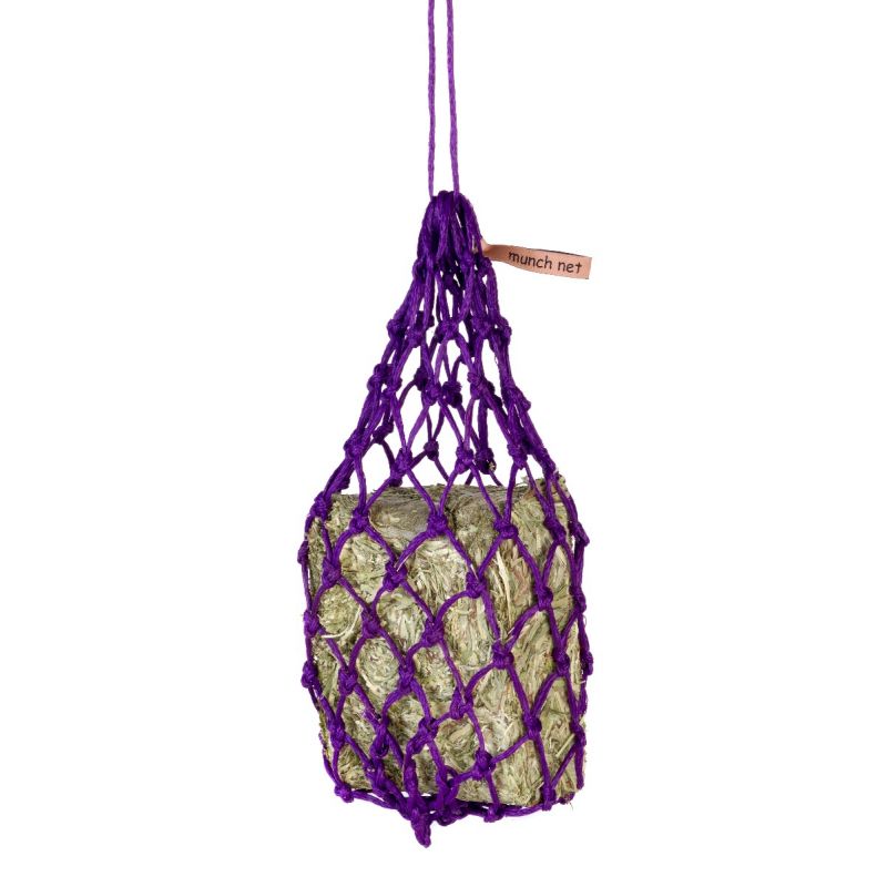 Equilibrium Munch Net