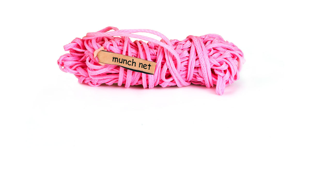 Equilibrium Munch Net