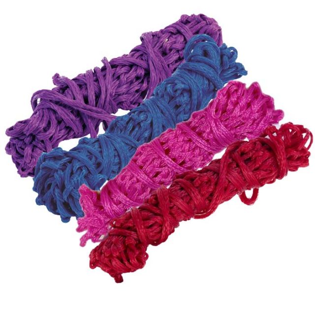 Equilibrium Munch Net