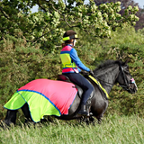 Equisafety Breathable Mesh Quarter Sheet