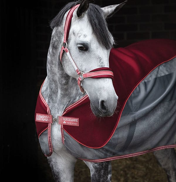 Horseware Airmesh Headcollar