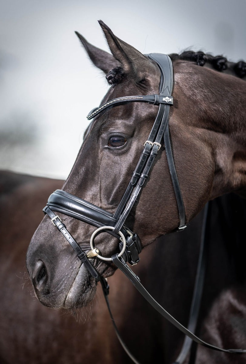 LeMieux Classic Dressage Bridle