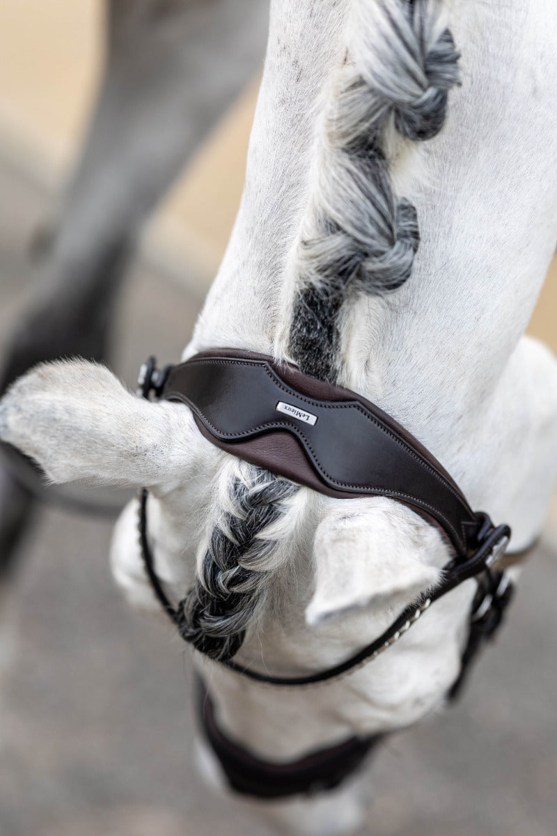 LeMieux Classic Dressage Bridle