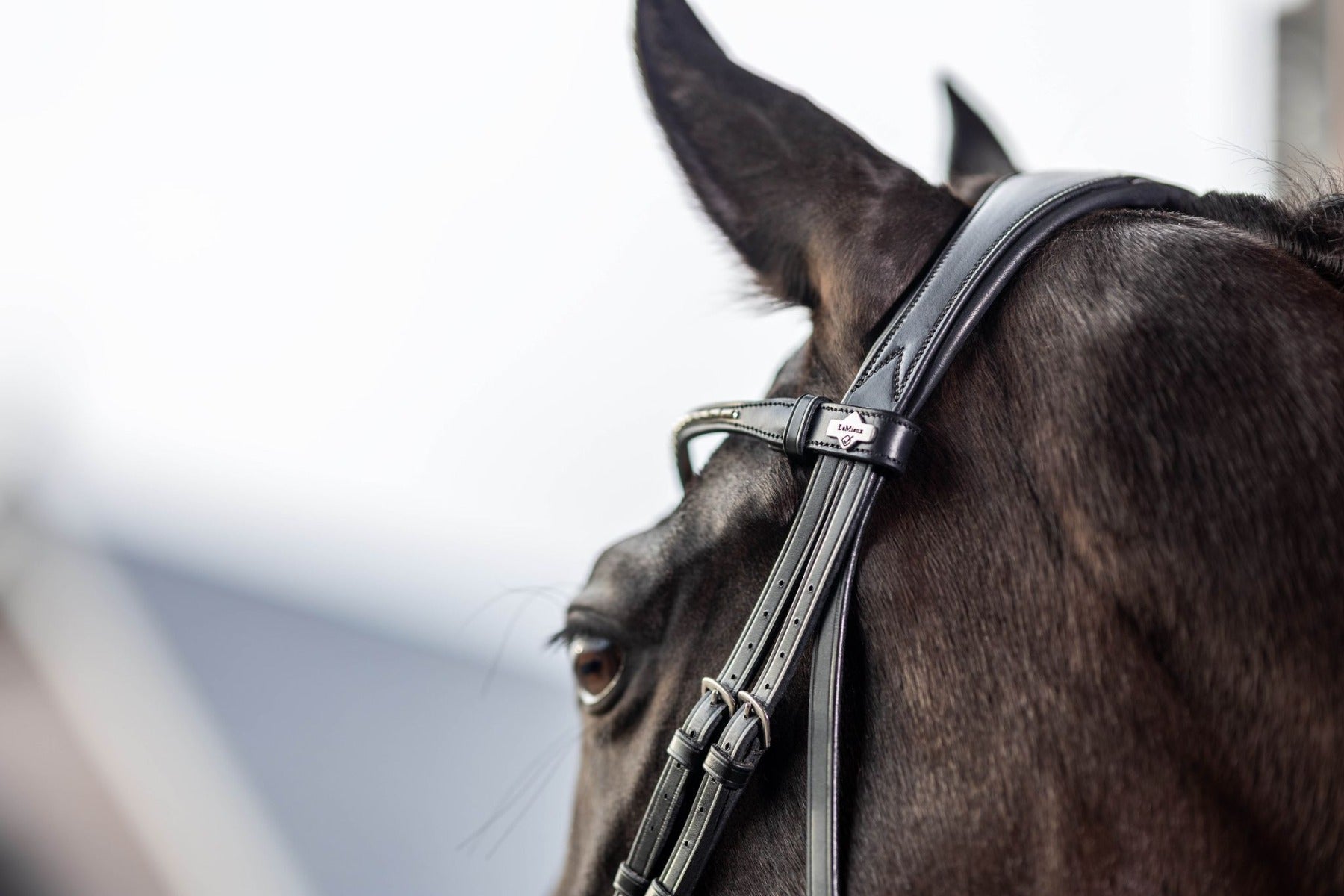 LeMieux Classic Dressage Bridle