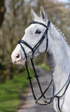 LeMieux Competition Flash Bridle