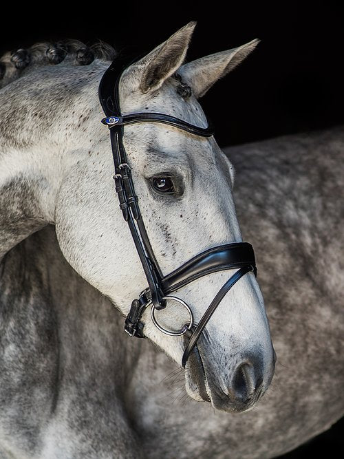 PS of Sweden Flying Change Bridle