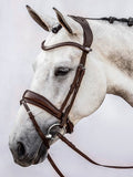 PS of Sweden Flying Change Bridle