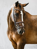 PS of Sweden Paris Bridle