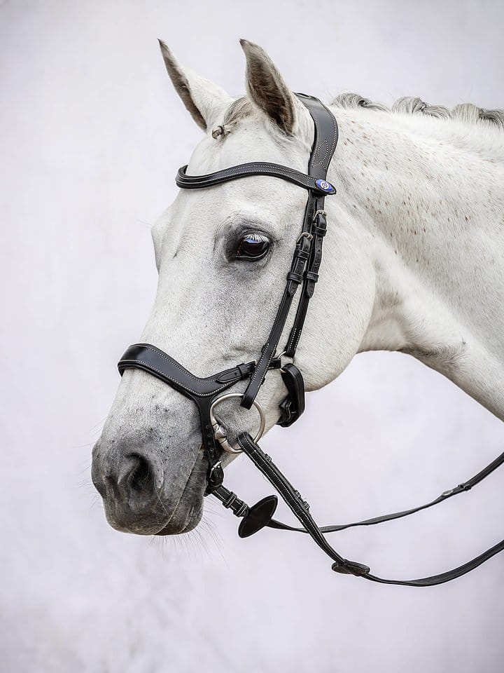 PS of Sweden Pioneer Bridle