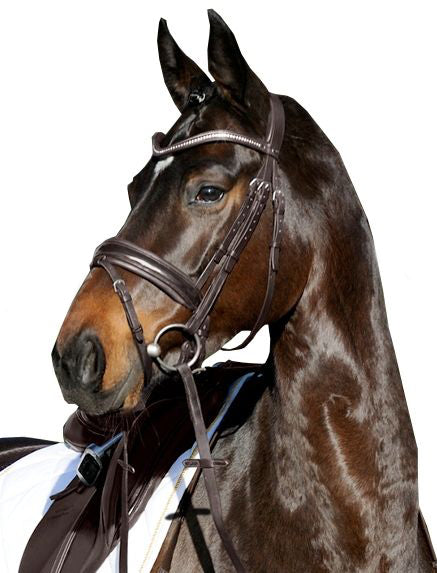 Passier Apollo Patent Snaffle Flash Bridle
