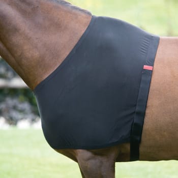 Shires Anti-Rub Stretch Vest