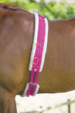 Shires Nylon Roller with Fleece Padding