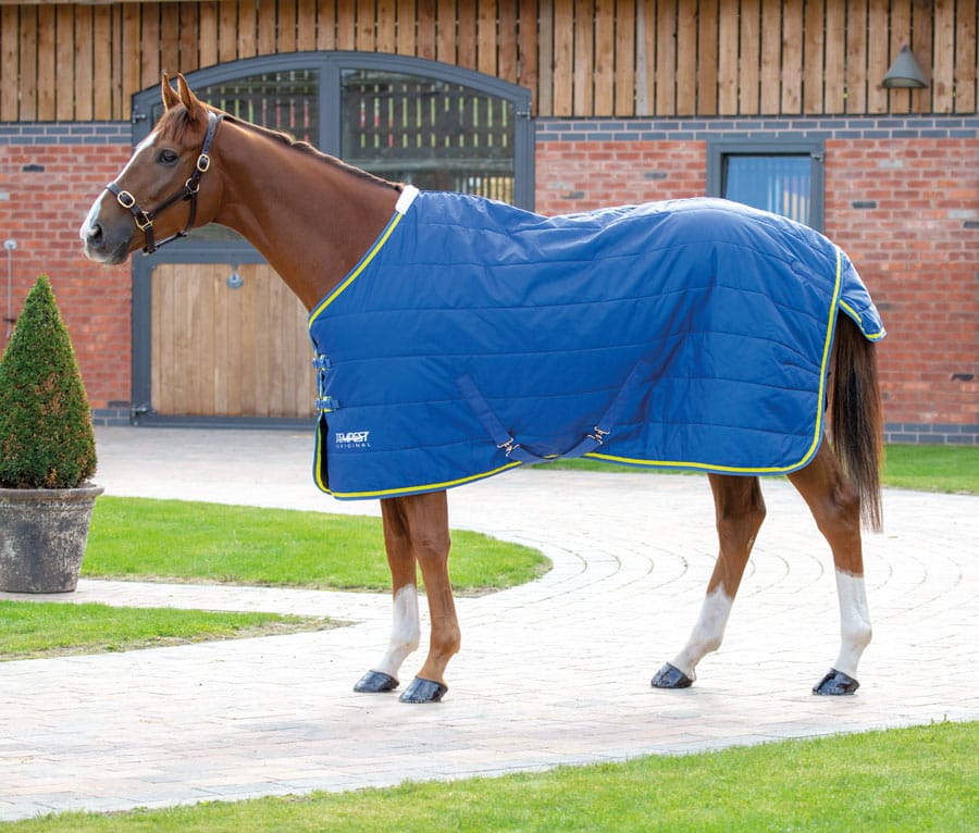 Shires Tempest Original 100g Stable Rug