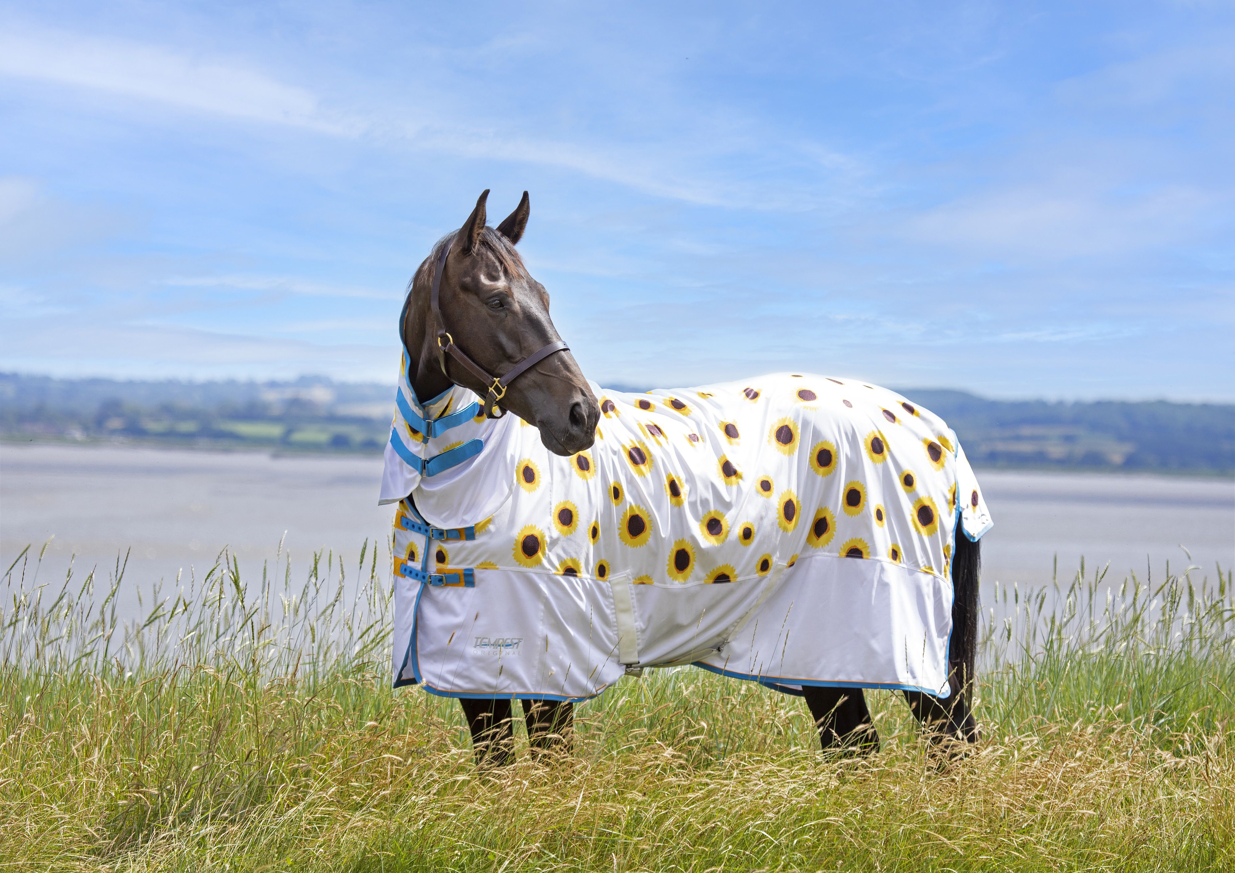 Shires Tempest Plus 100g Stable Rug | Millbry Hill Shires Tempest Plus 100g Stable Rug | Millbry Hill