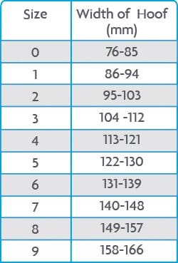 Woof Wear Medical Hoof Boot