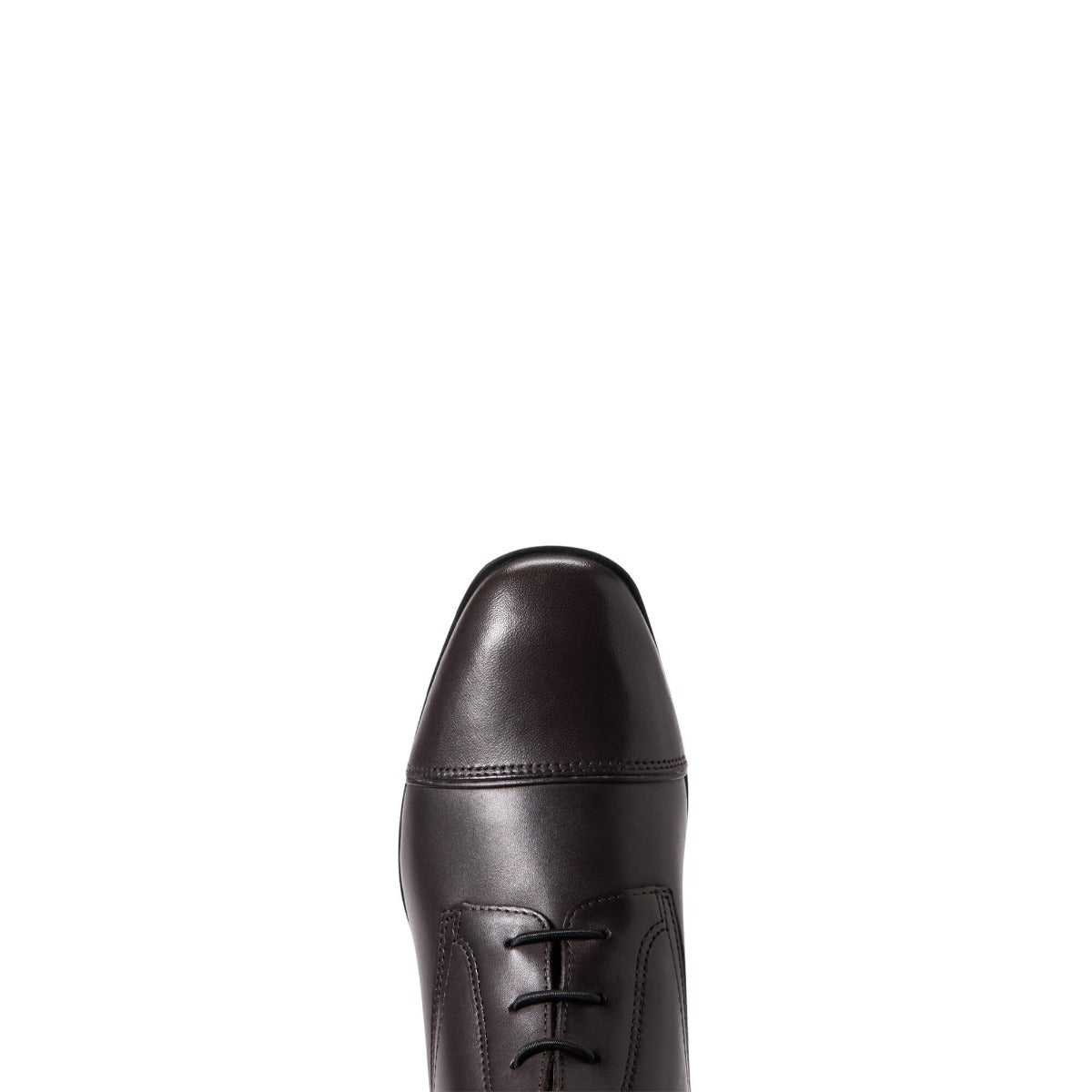 Ariat Ladies Palisade Tall Riding Boots-Long Riding Boots-Eland Lodge