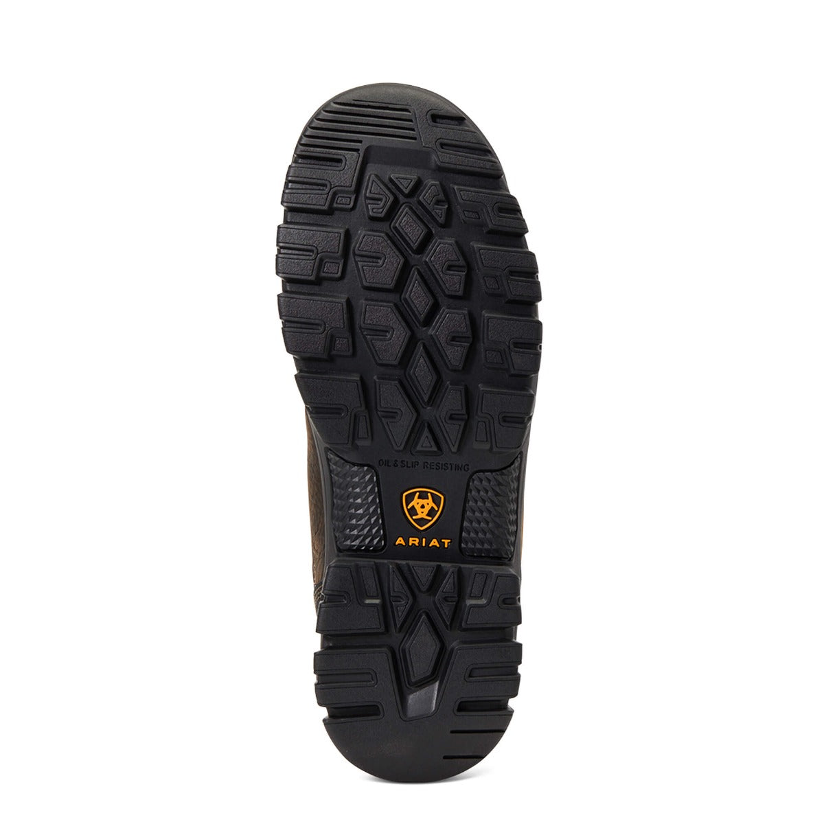 Ariat women's steel toe outlet shoes