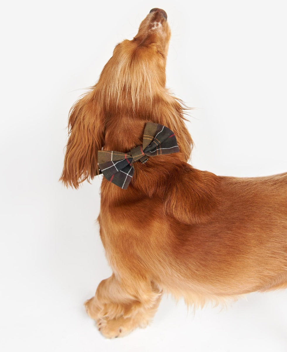 Barbour Tartan Dog Bow Tie-Dog Accessories-Eland Lodge