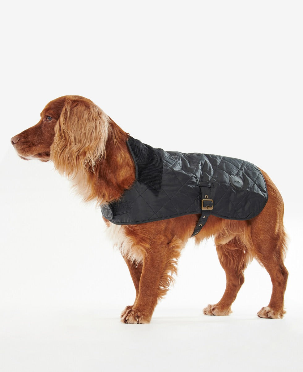 Barbour Olive Quilted Dog Coat Clearance | website.jkuat.ac.ke