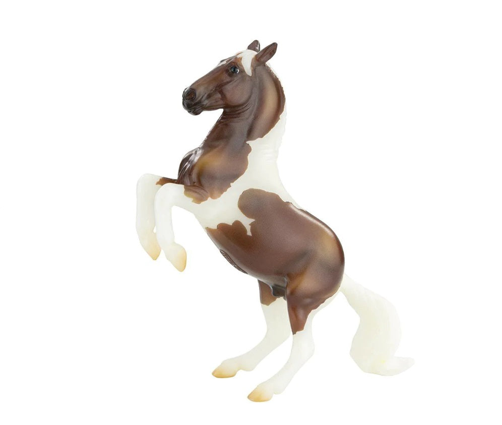 Breyer Pintos and Palaminos