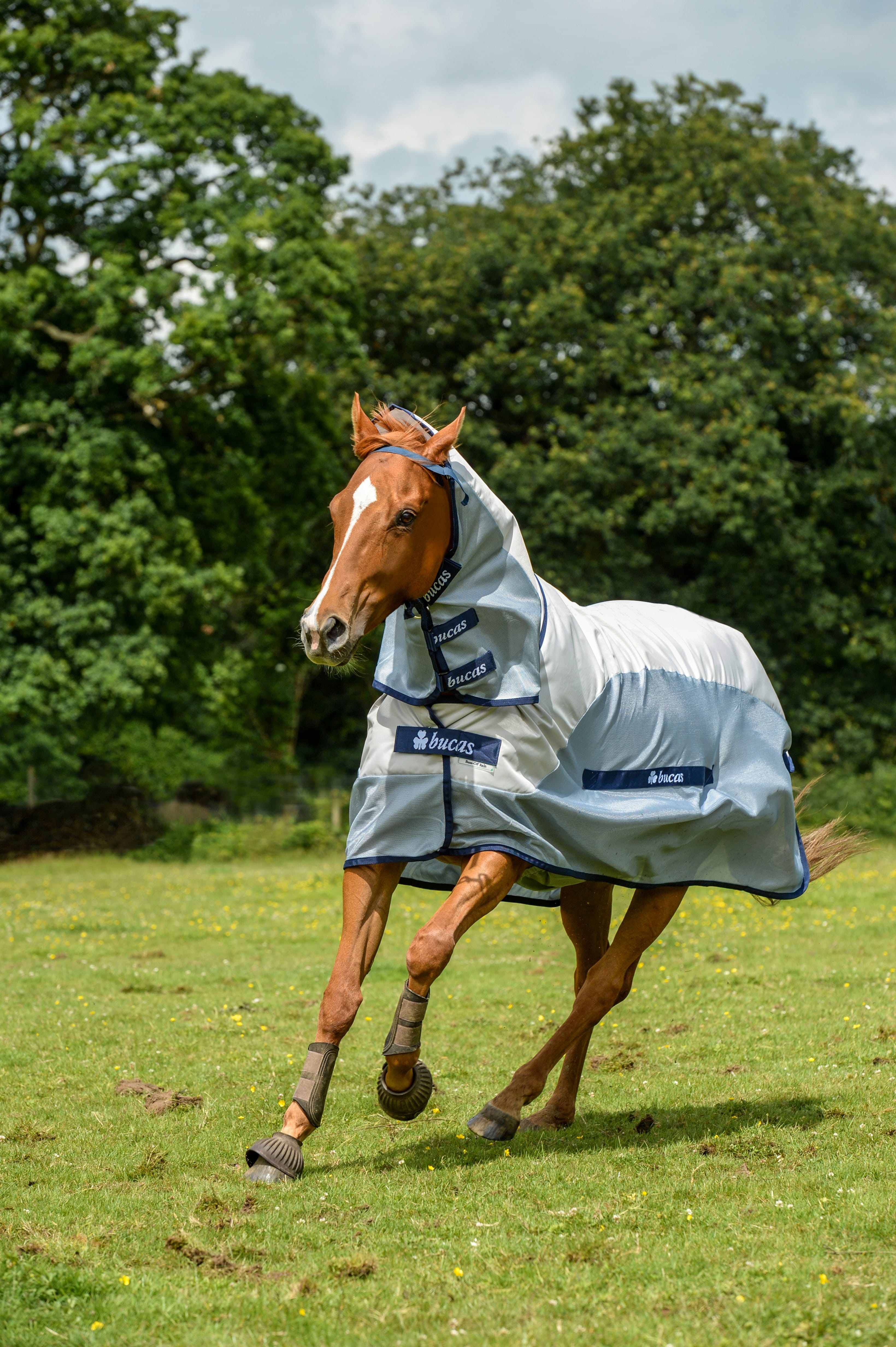 Bucas Buzz-off Rain Full Neck Turnout Rug-Fly Rugs-Eland Lodge