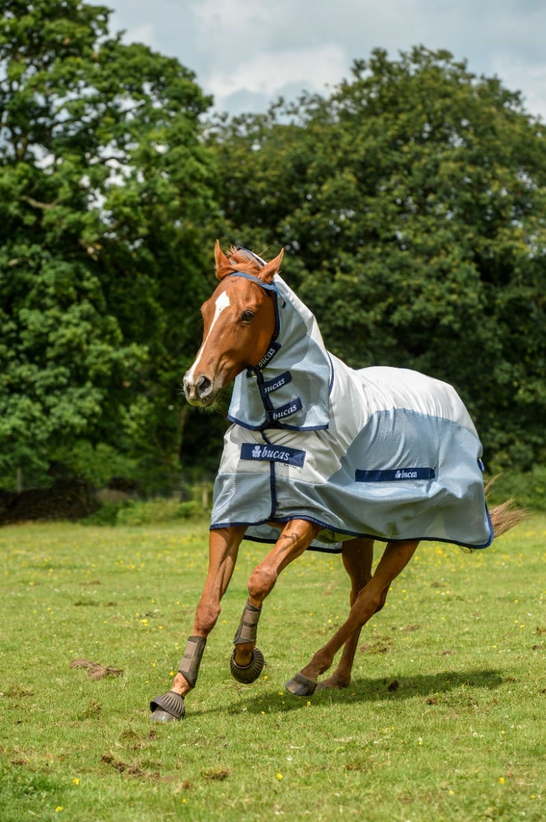 Bucas Buzz-off Rain Full Neck Turnout Rug-Fly Rugs-Eland Lodge
