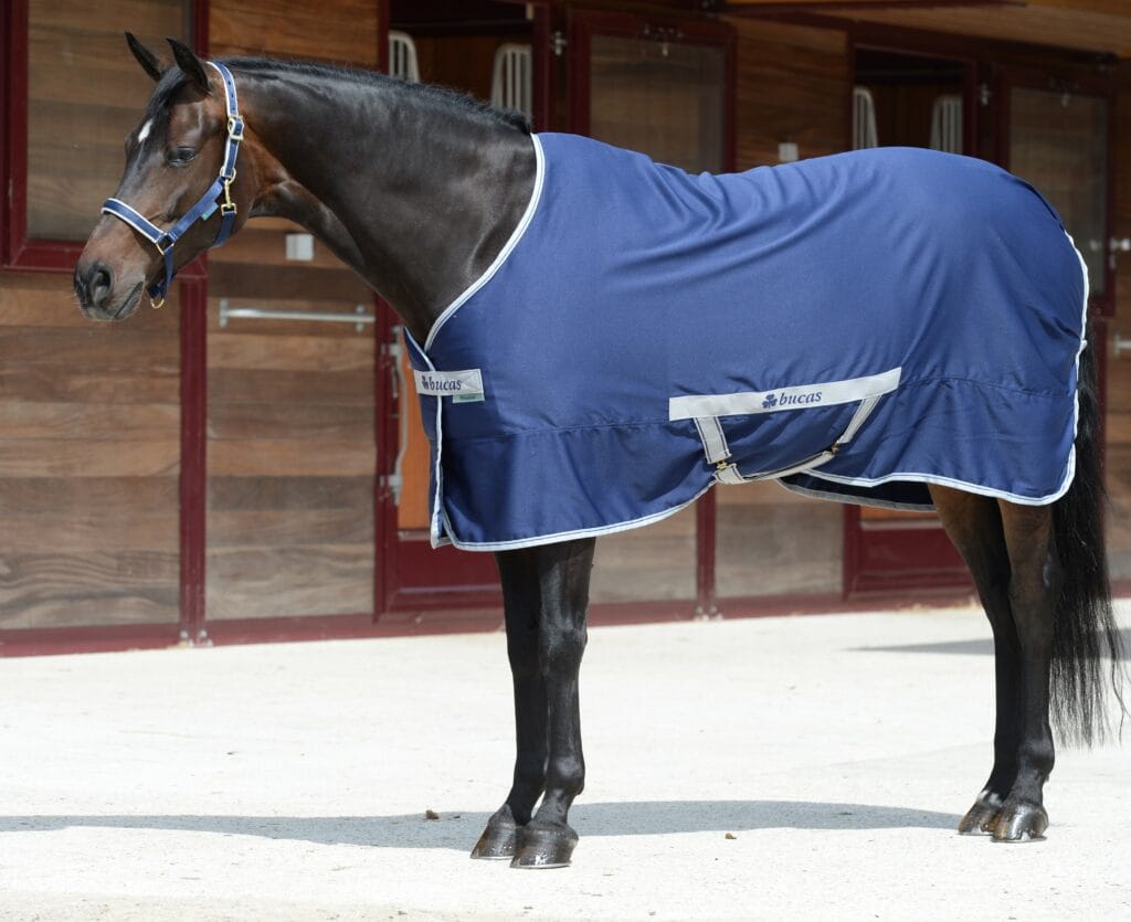 Bucas Freedom Twill Stable Sheet-Fleeces, Coolers & Sheets-Eland Lodge