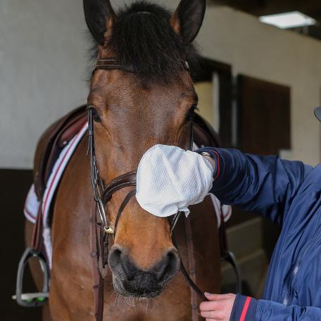Carr & Day & Martin Belvoir Step 1 Cleaning Mitt-Tack Care & Cleaners-Eland Lodge