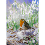 Dick Twinney "Robin and Snowdrops" Christmas Card
