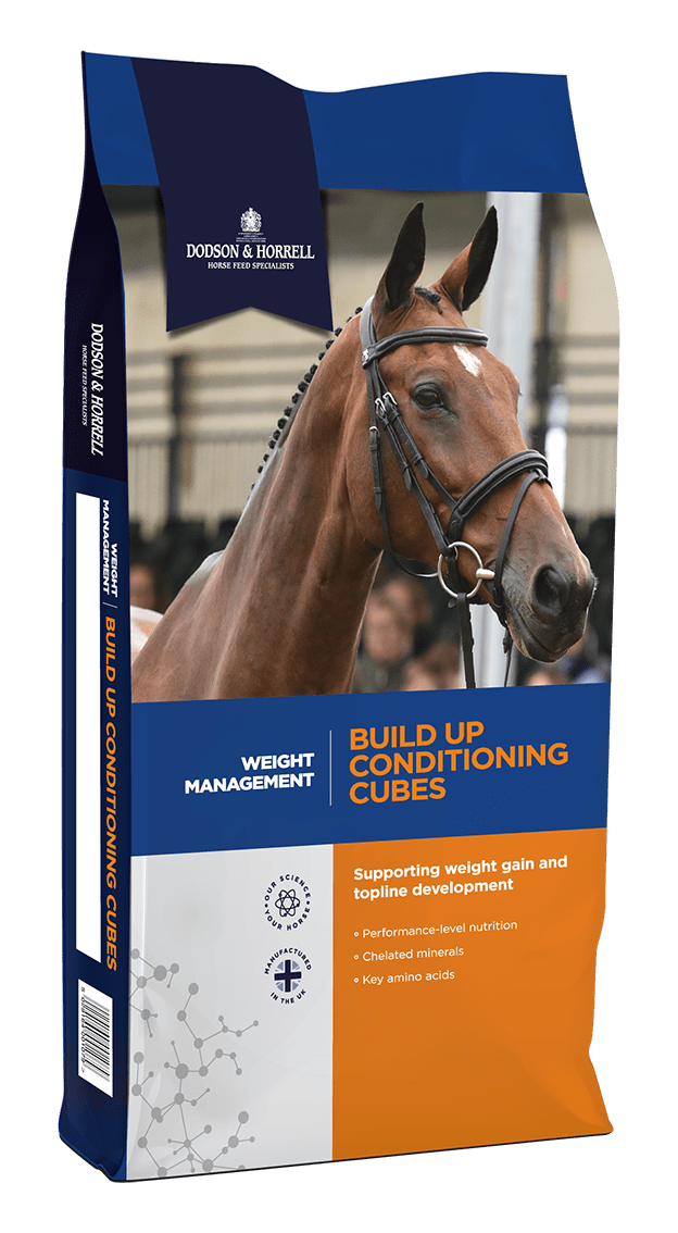 Dodson & Horrell Build Up Conditioning Cubes