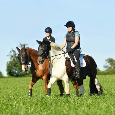 Equilibrium Net Relief Riding Mask-Fly Masks & Veils-Eland Lodge