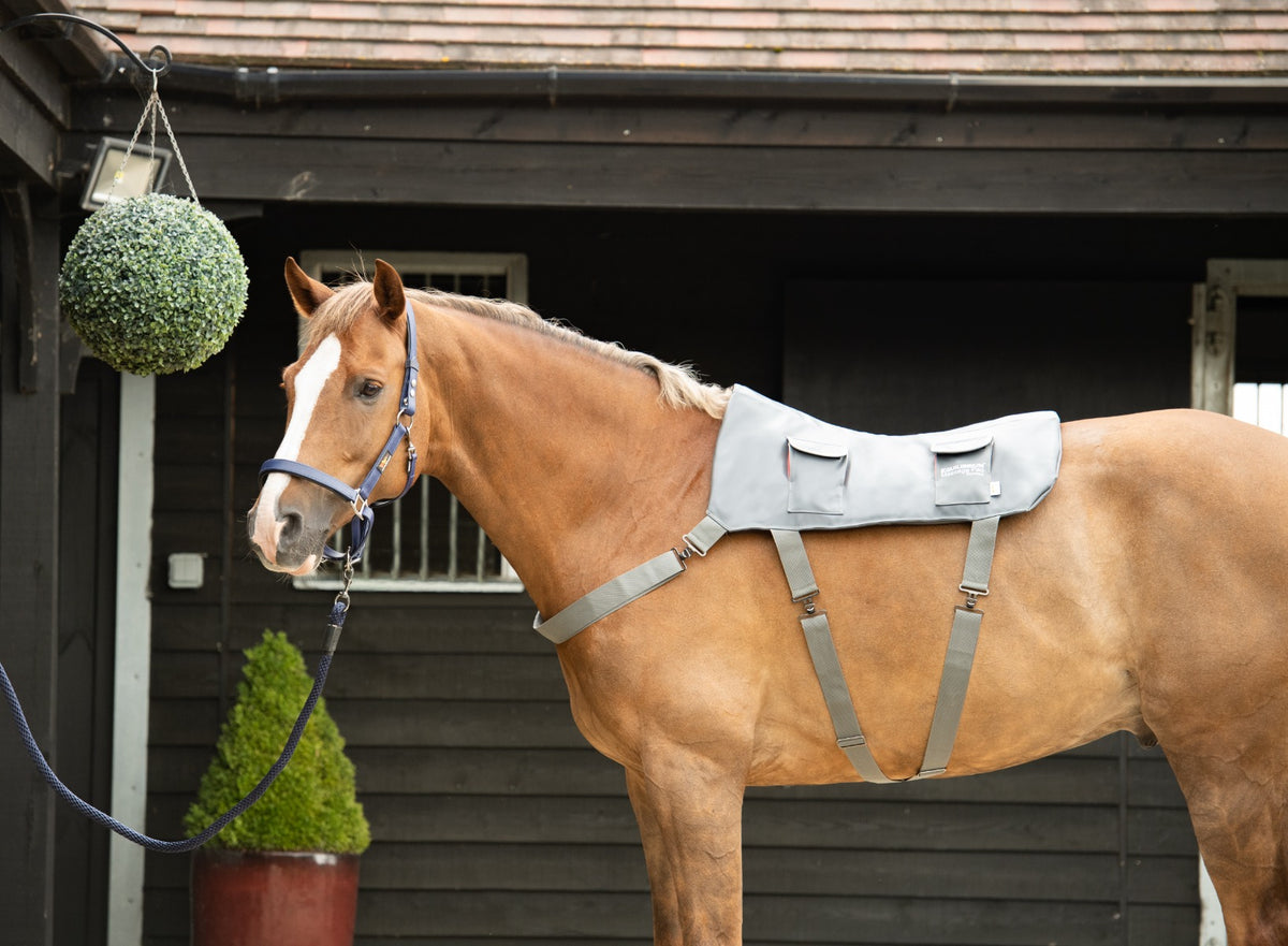 Equilibrium Horse Massage Pad