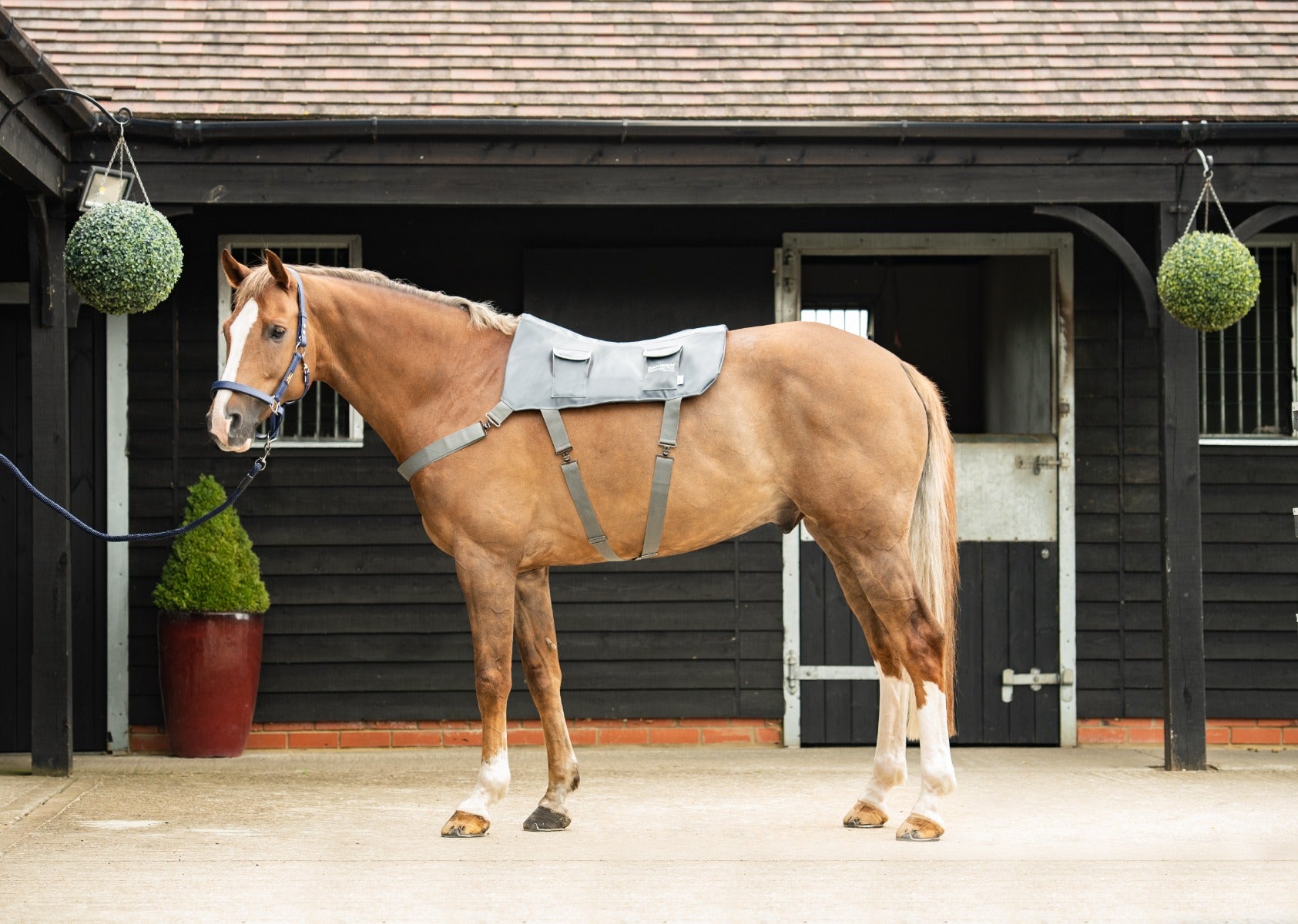 Equilibrium Horse Massage Pad