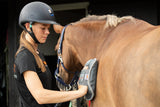 Equilibrium Hot Spot Massage Mitt