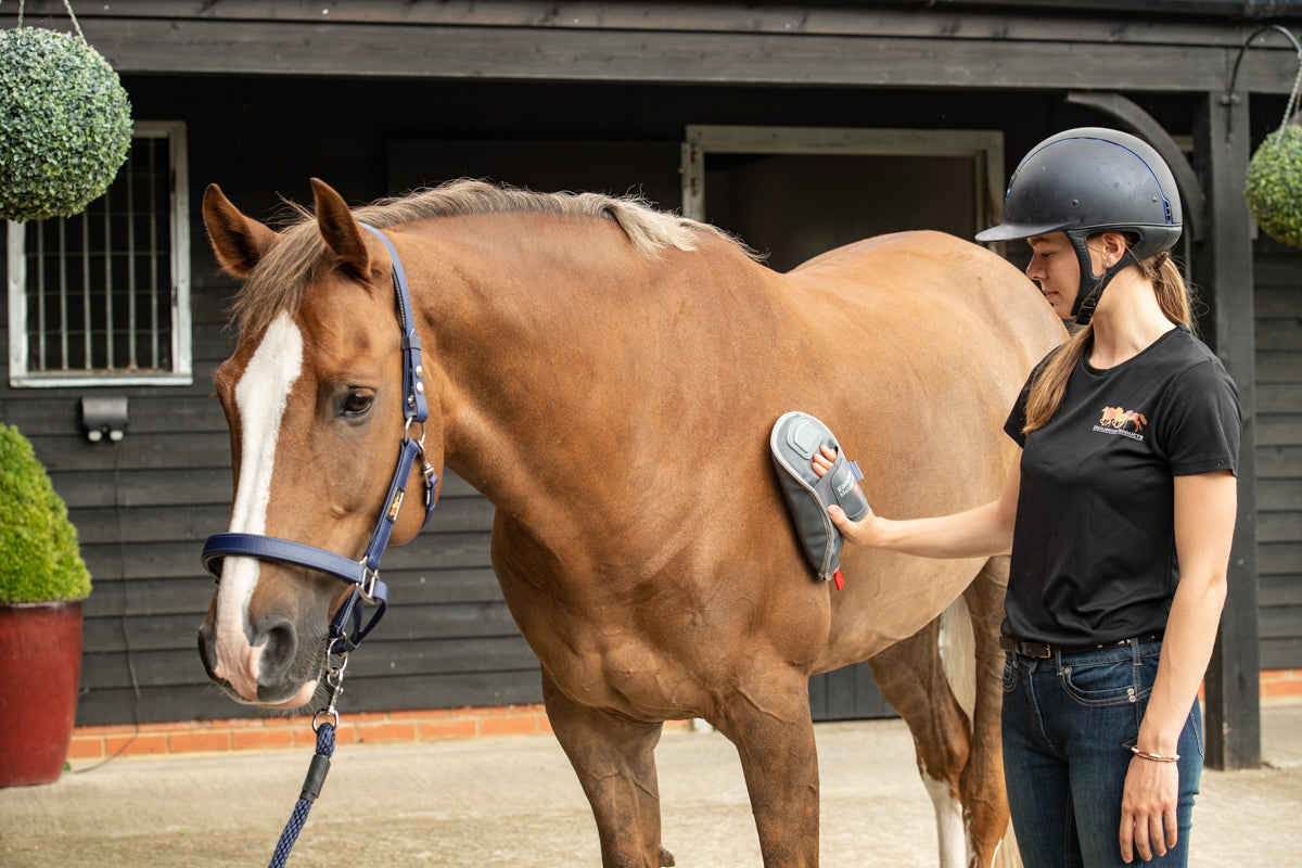 Equilibrium Hot Spot Massage Mitt