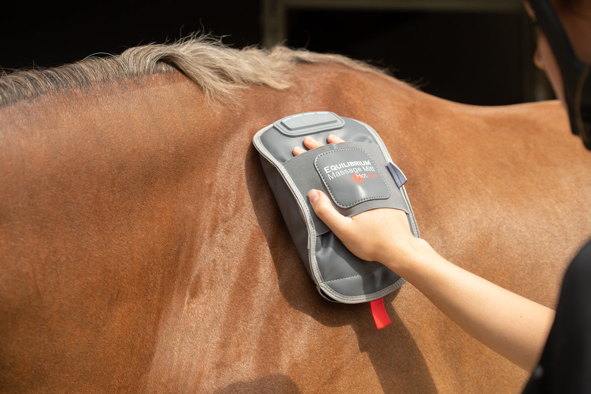 Equilibrium Hot Spot Massage Mitt