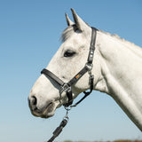 Equilibrium Stellar Headcollar