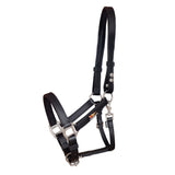 Equilibrium Stellar Headcollar