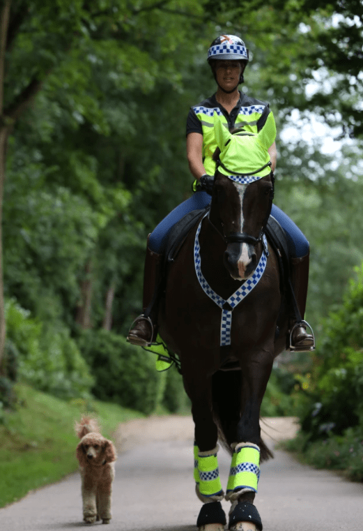 Equisafety Polite Reflective Neckband-Hi Viz For The Horse-Eland Lodge