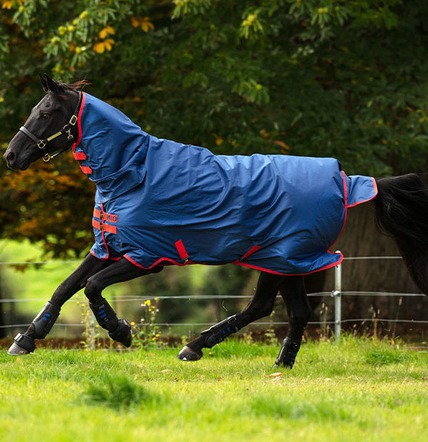 Horseware Mio All-in-One Heavy 350g Turnout Rug