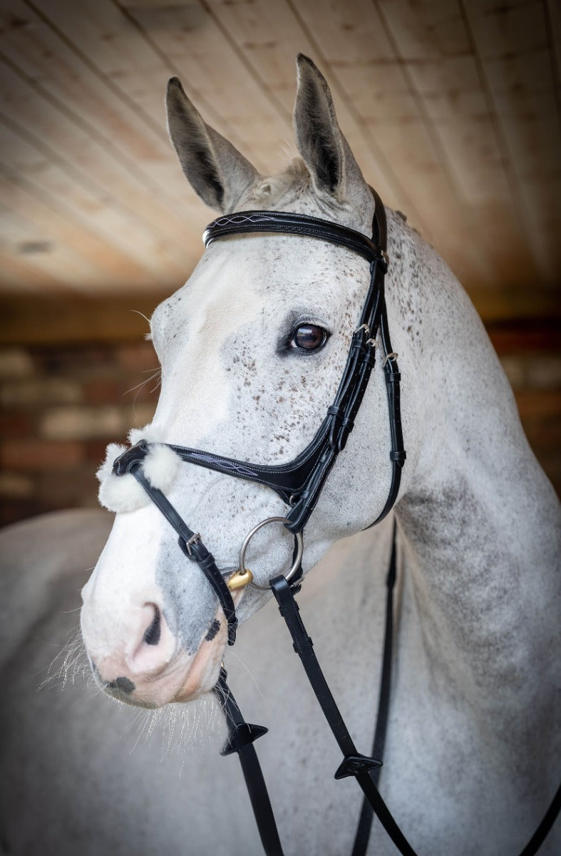 LeMieux Grackle Bridle